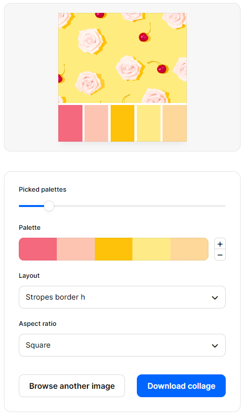 Collage di una foto e di una palette con Coolors