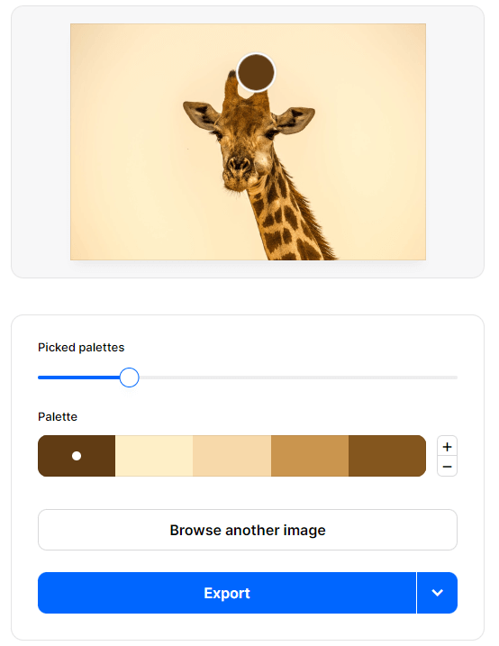 Generare una palette a partire da un'immagine con Coolors
