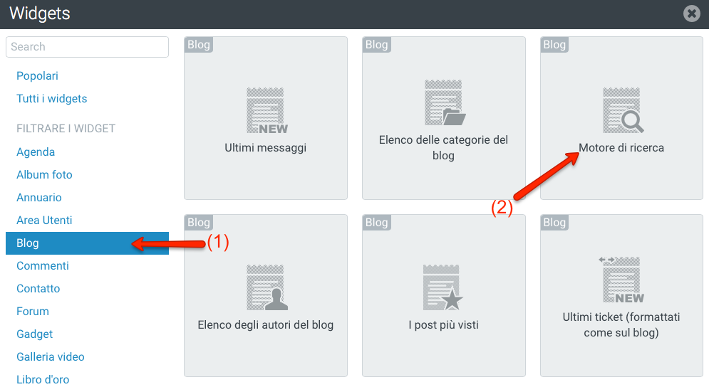 Widget Motore di ricerca dei post del Blog
